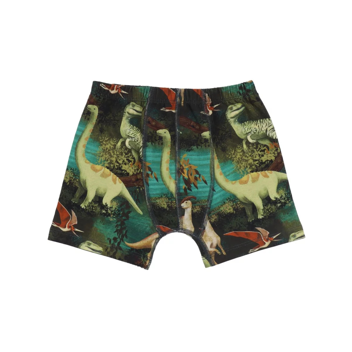 2-Pack Boxers -Dinosaur Jungle